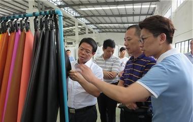 Lin Guoyao, Party secretary of Longyan City, visited Tianshou Group for guidance